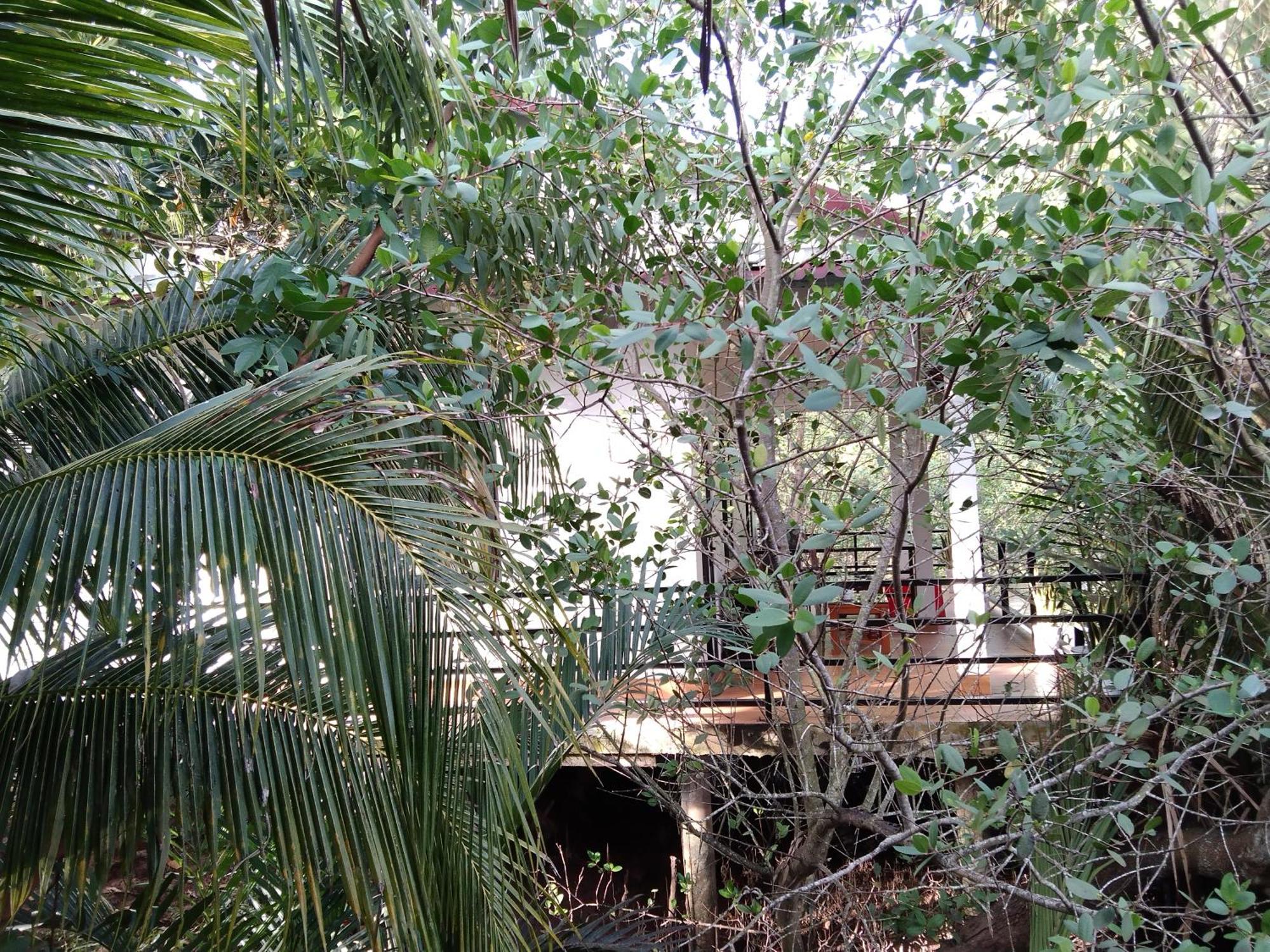 Quoc Phuong Riverside Homestay Ben Tre Eksteriør bilde